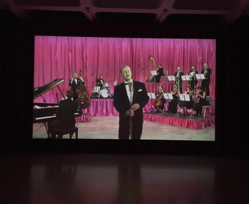 14247537_10153825360807555_60781062_o