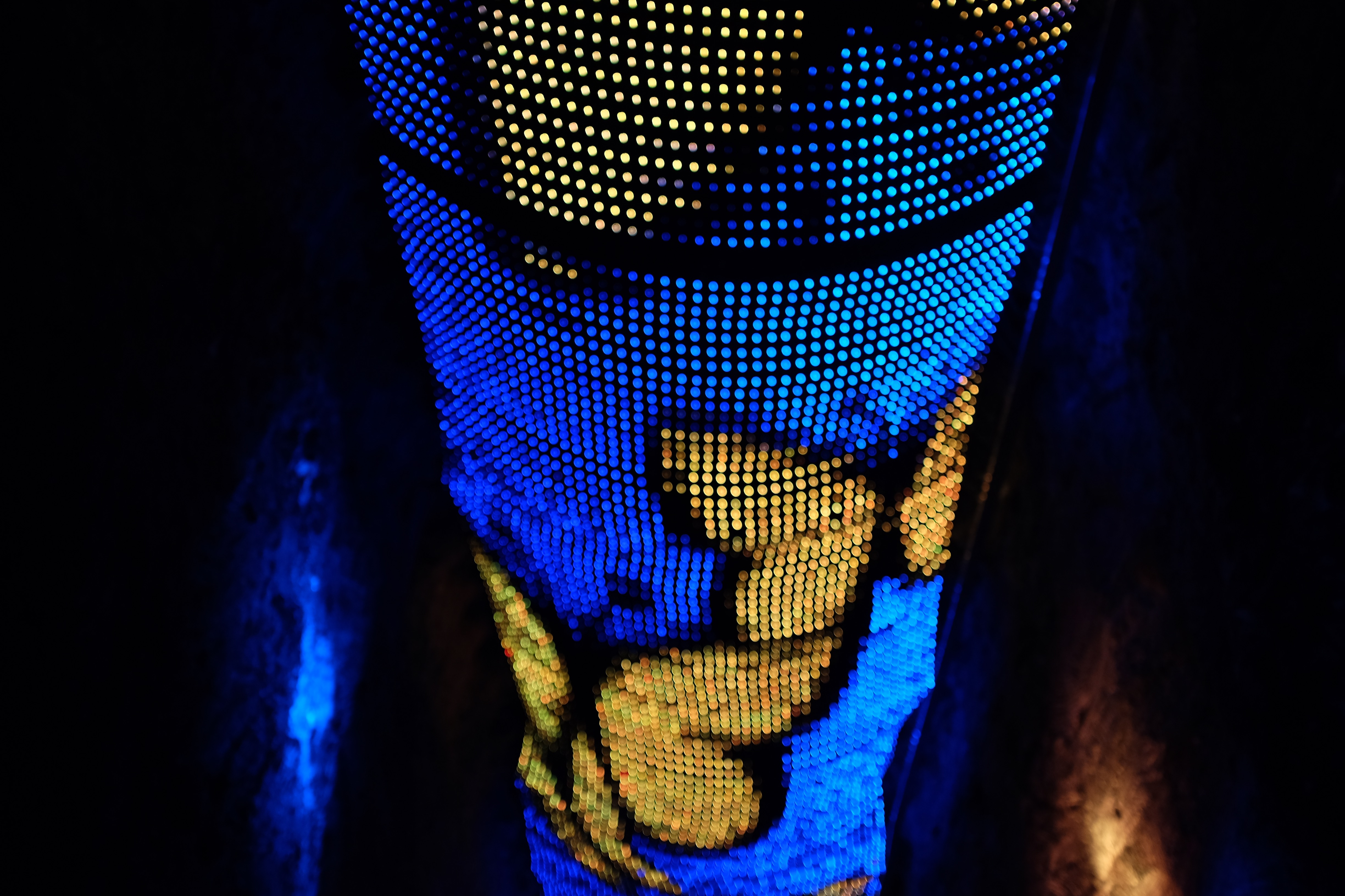 DSCF7785.jpg